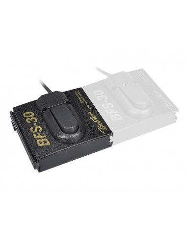 Boston BFS-30