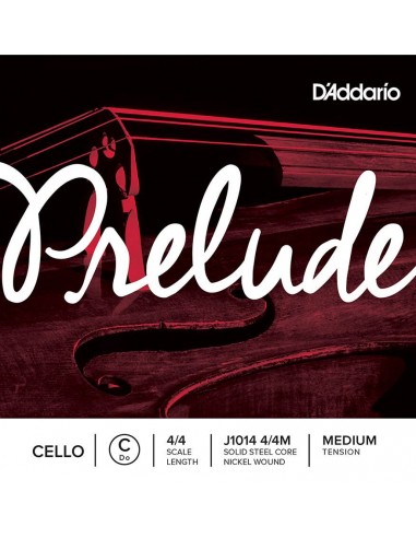 D'Addario J1014-44M