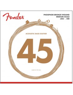 Fender F-7060