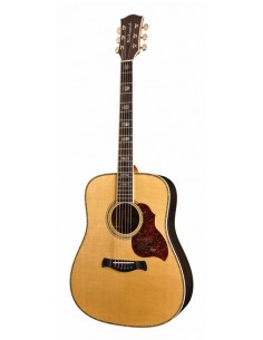 Richwood D-70-VA