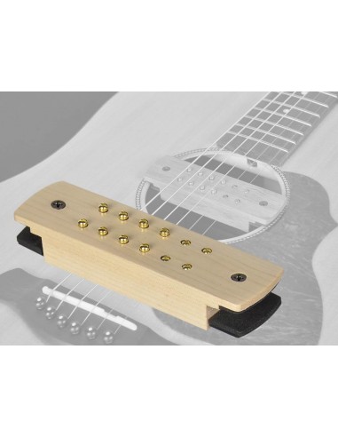 SHP-210-EPJ