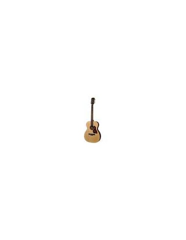 Richwood A-20-E