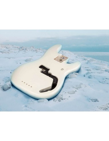 Fender 0998010780