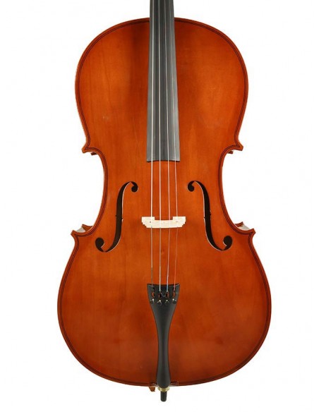 Leonardo LC-1018