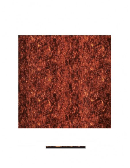 PG-433-T