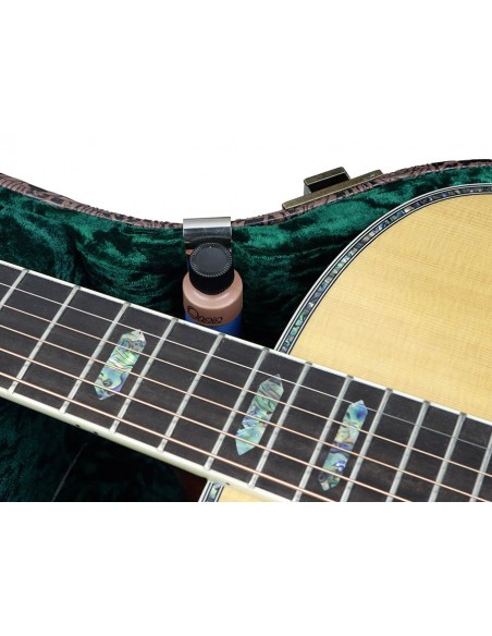 Oasis OAS/OH-6