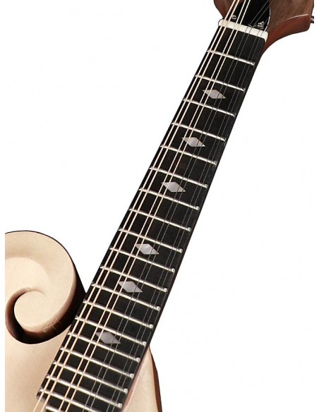 RMF-80-NT