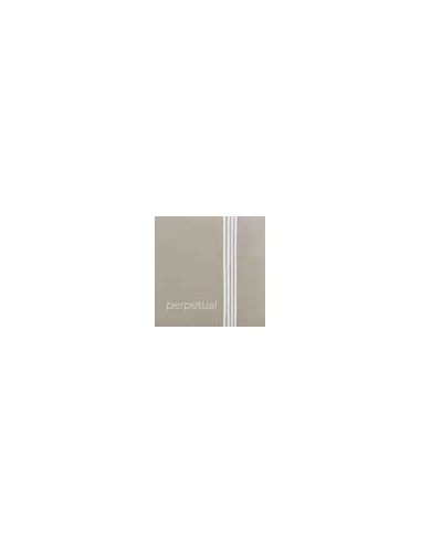 P41A021