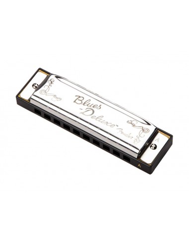 Fender 0990701003