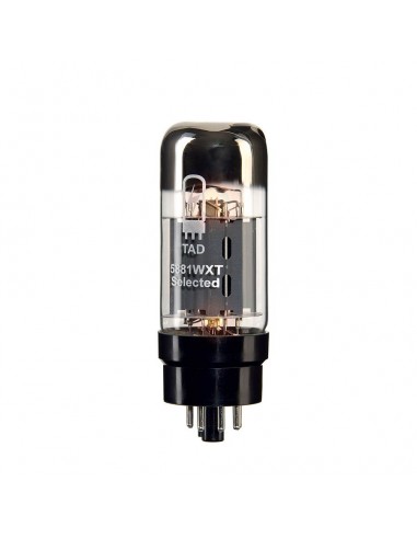 TAD 5881WXT/4