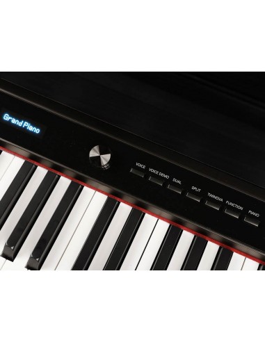 DP650K/BK