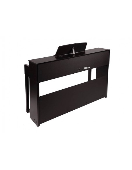 DP460K/RW