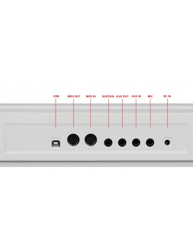 SP4200/WH