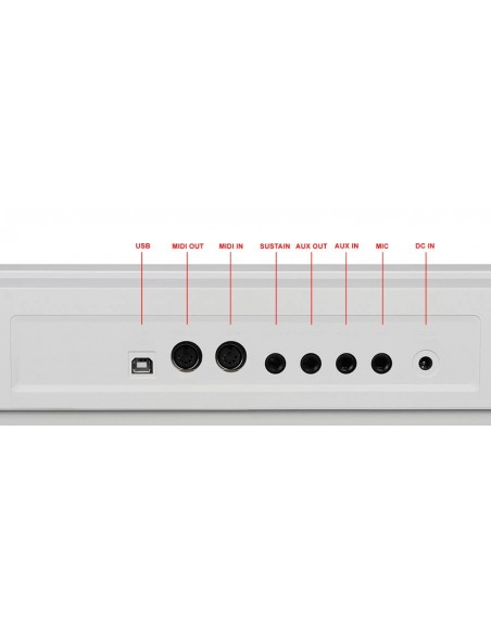 SP4200/WH