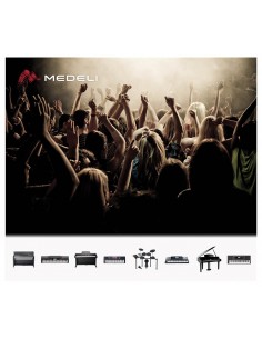 Medeli MPW-01