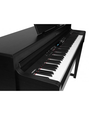 DP460K/BK