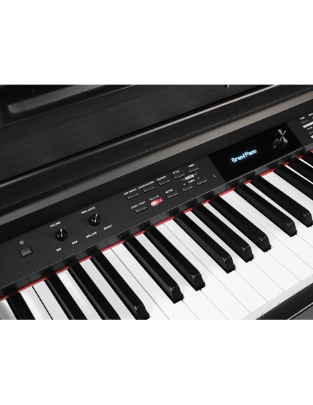 DP460K/BK