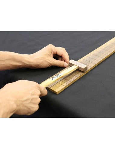 Hosco Japan TL-HMF-S
