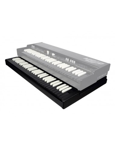 Crumar MOJO61B-LTD