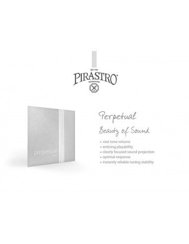Pirastro P320121