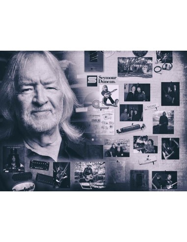 Seymour Duncan SD40520