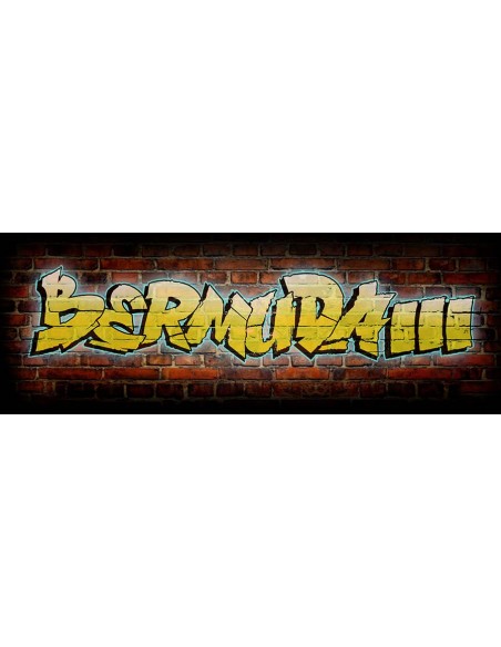 ChickenPicks 2-BE-27