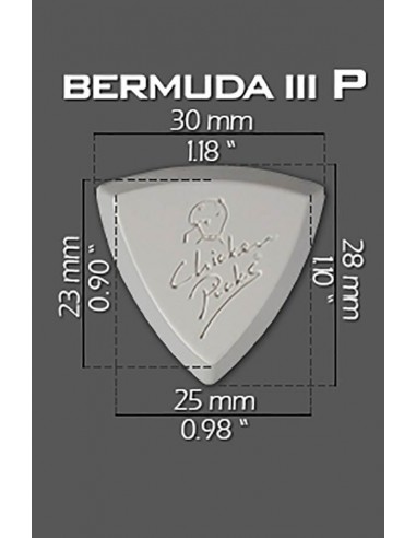 ChickenPicks 2-BEP-27