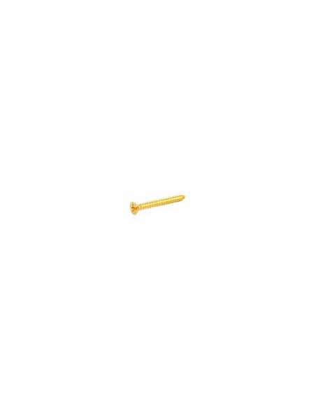 Allparts GS0008002