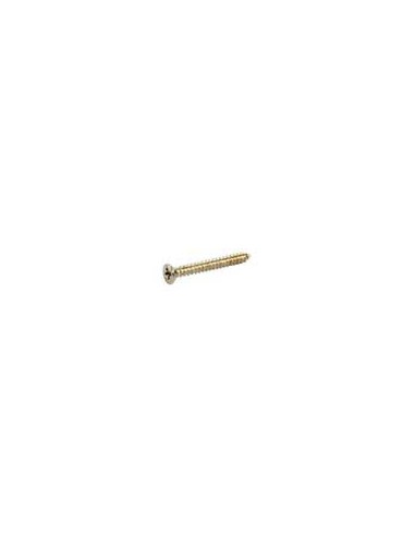 Allparts GS0008005