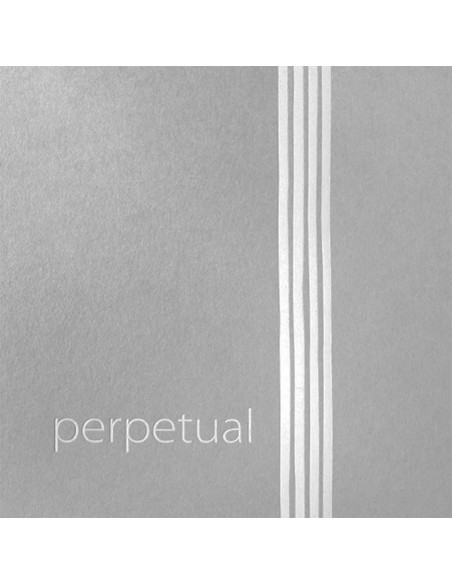 P41A311
