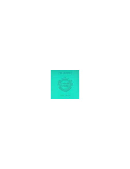 Jargar JVI-SET-YT-JVI-SET-YT (2)