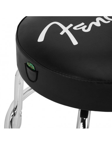 Fender 9192022012-9192022012 (3)