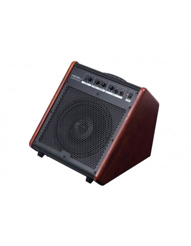 AP33-5.JPG - Medeli AP33