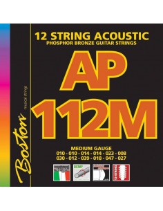 Boston AP-112-M