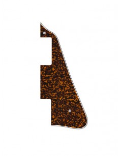 LP-313-RY