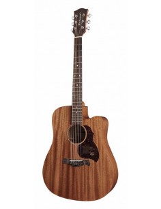 Richwood D-50-CE