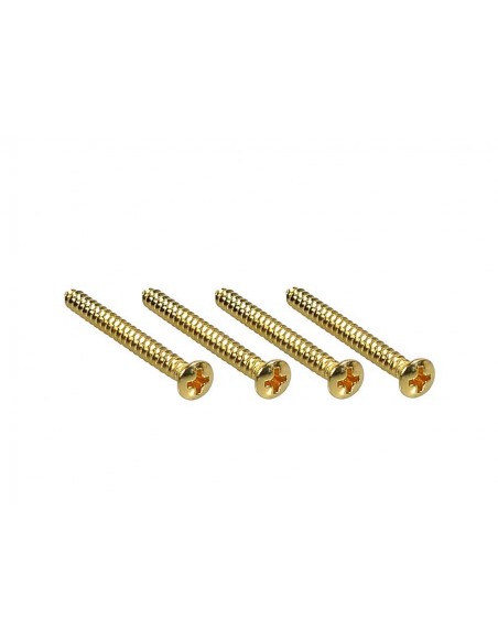 Fender Outlet 0018785049