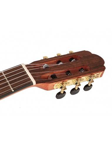 Salvador CS-244-CE