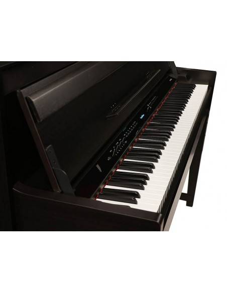 DP650K/RW