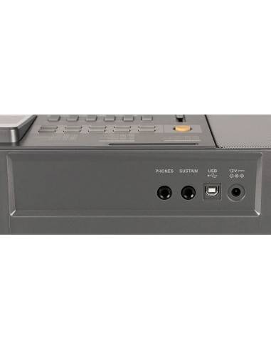 Medeli A100S