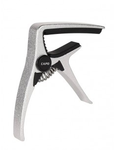 Boston CAPO/AE-01