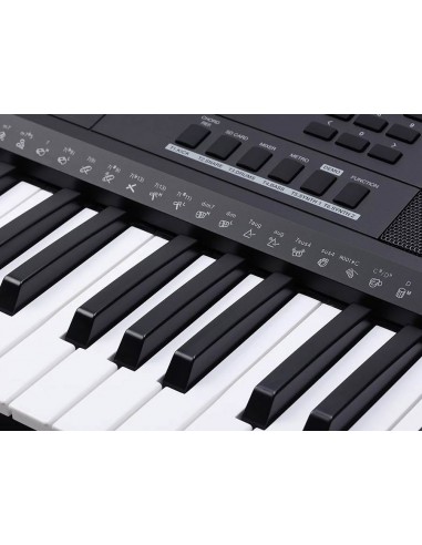 Medeli MK401
