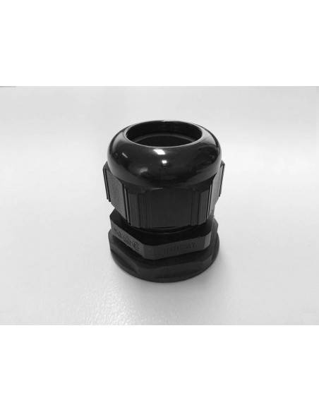 SKPG-29