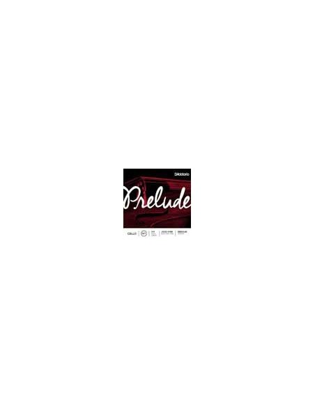 D'Addario J1010-44M
