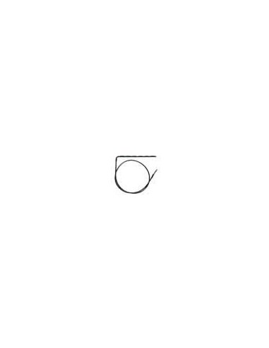 BSP-10