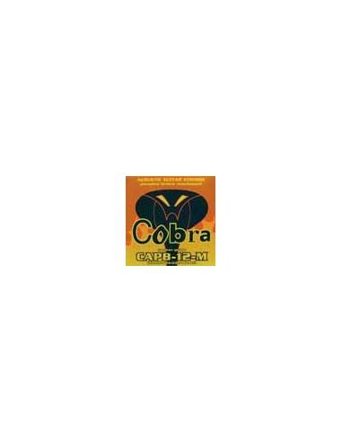 Cobra CAPB-12-M