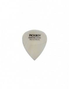 Pickboy GPBN-1