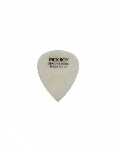 Pickboy GPBN-1