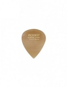 Pickboy GPHN-1