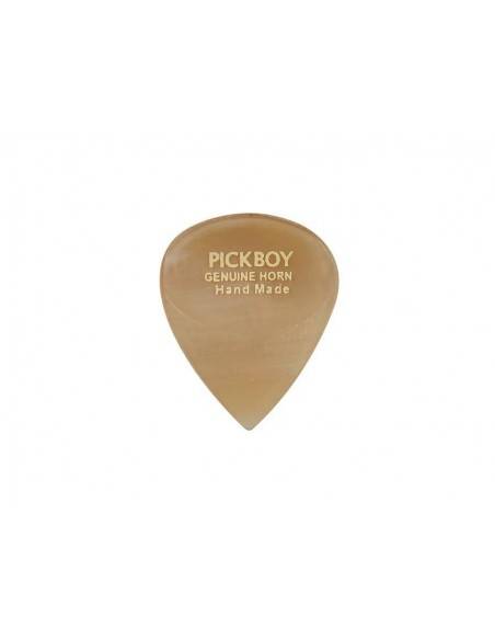 Pickboy GPHN-1